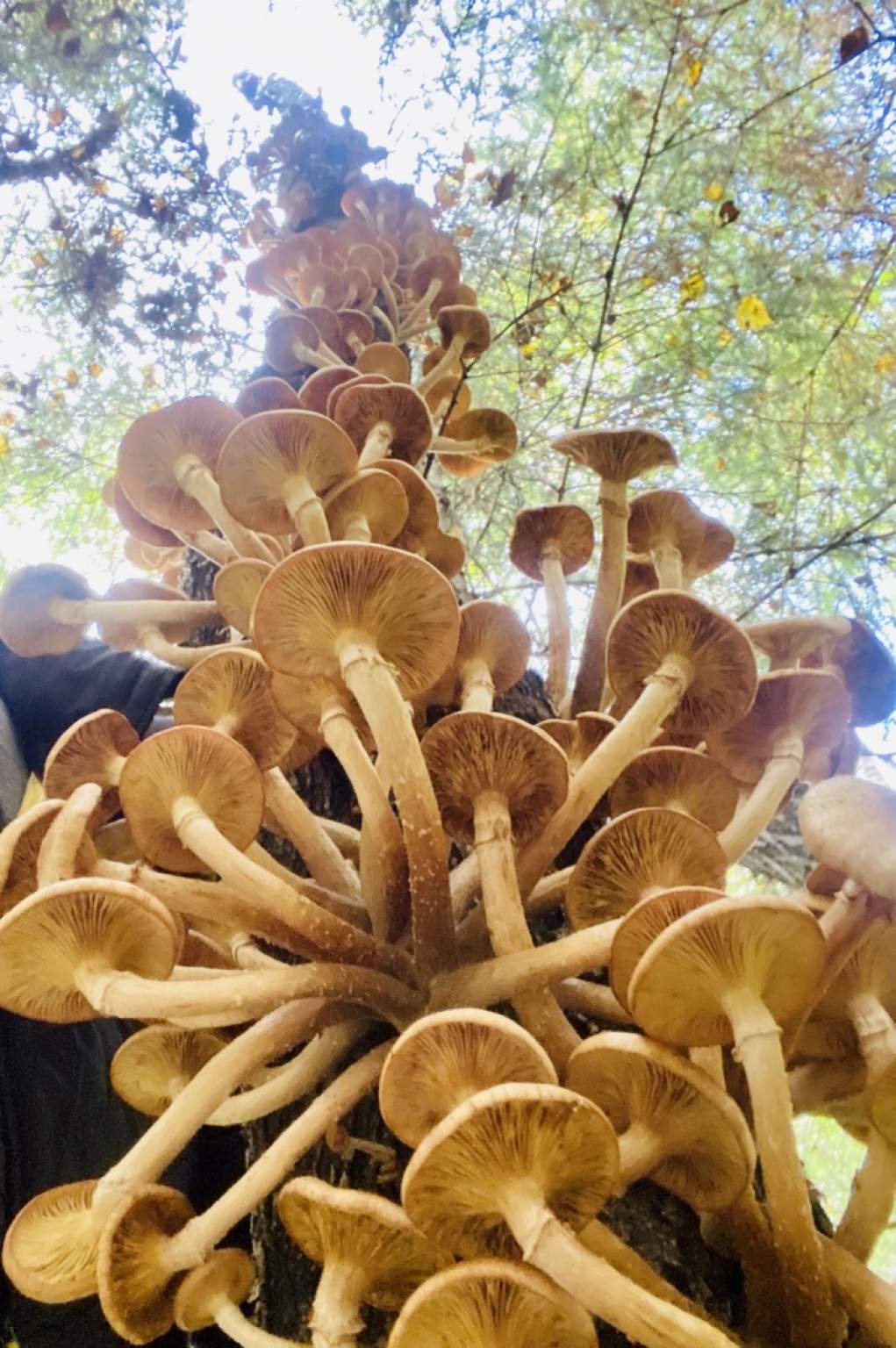 Продажа участка, Московская