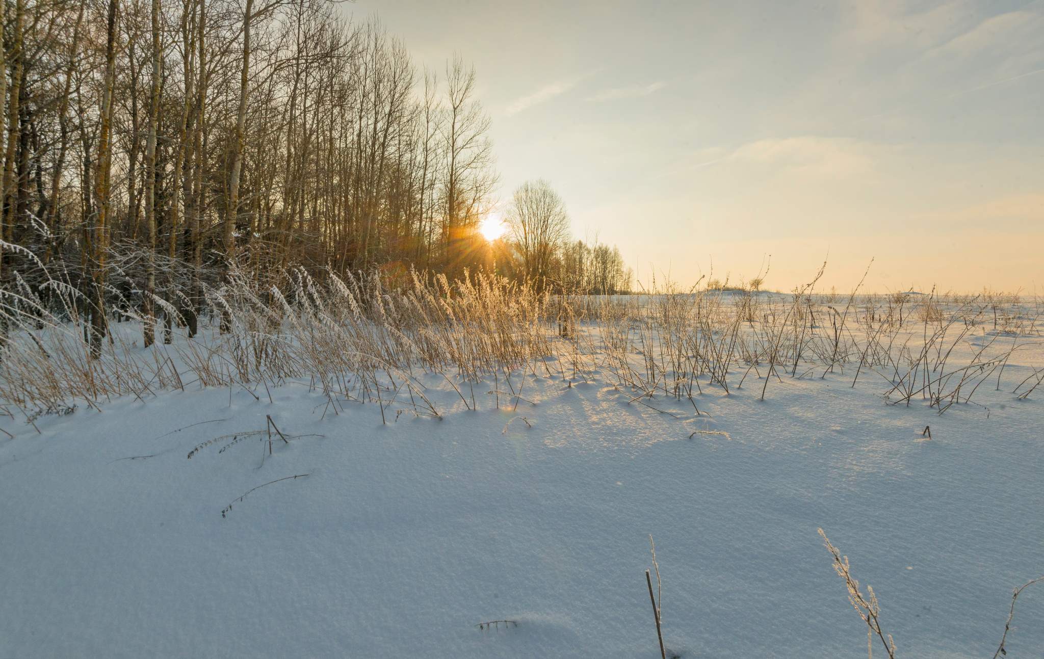 Продажа участка, Московская