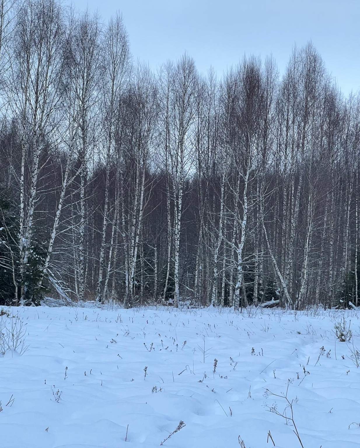 Продажа участка, Московская