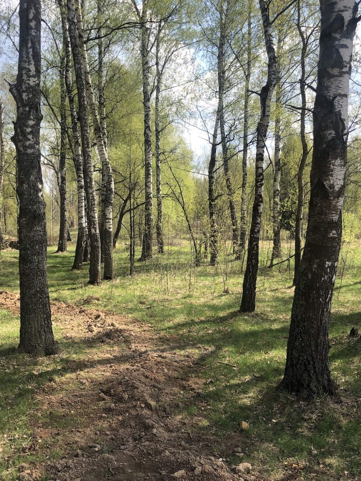 Продажа участка, Московская