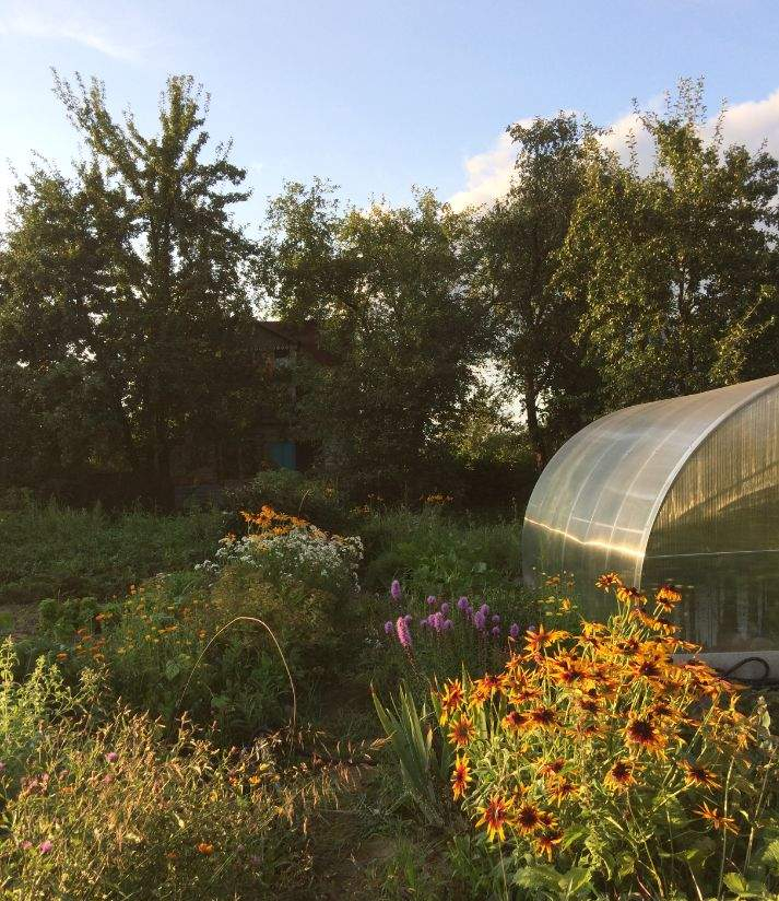 Продажа дома, 30м <sup>2</sup>, 5 сот., Куровской