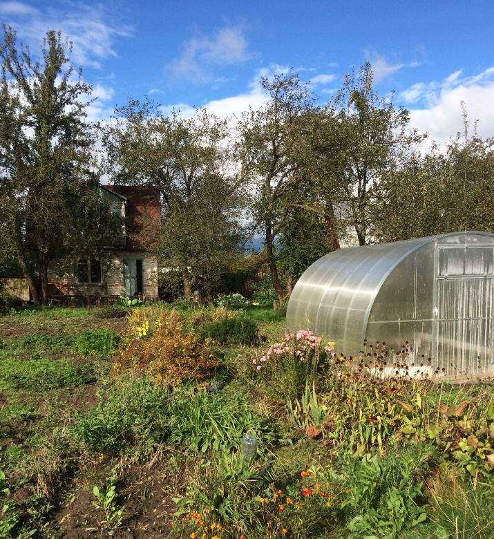 Продажа дома, 30м <sup>2</sup>, 5 сот., Куровской