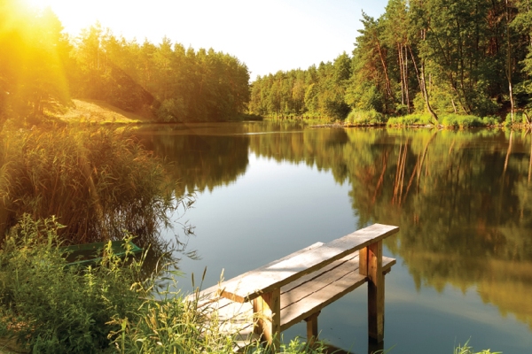 Продажа участка, Московская