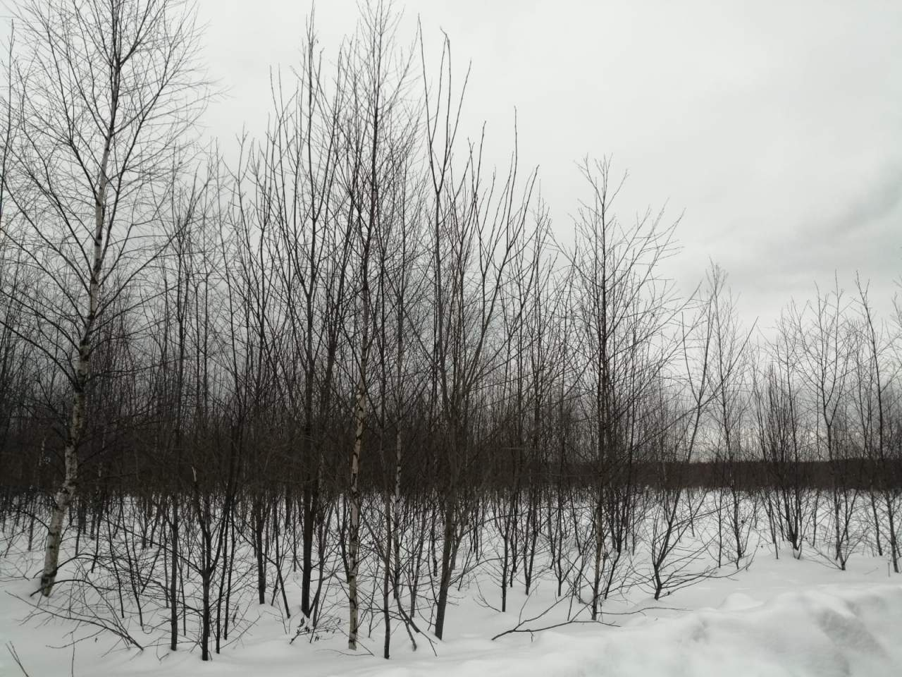 Продажа коммерческой недвижимости, Бельково