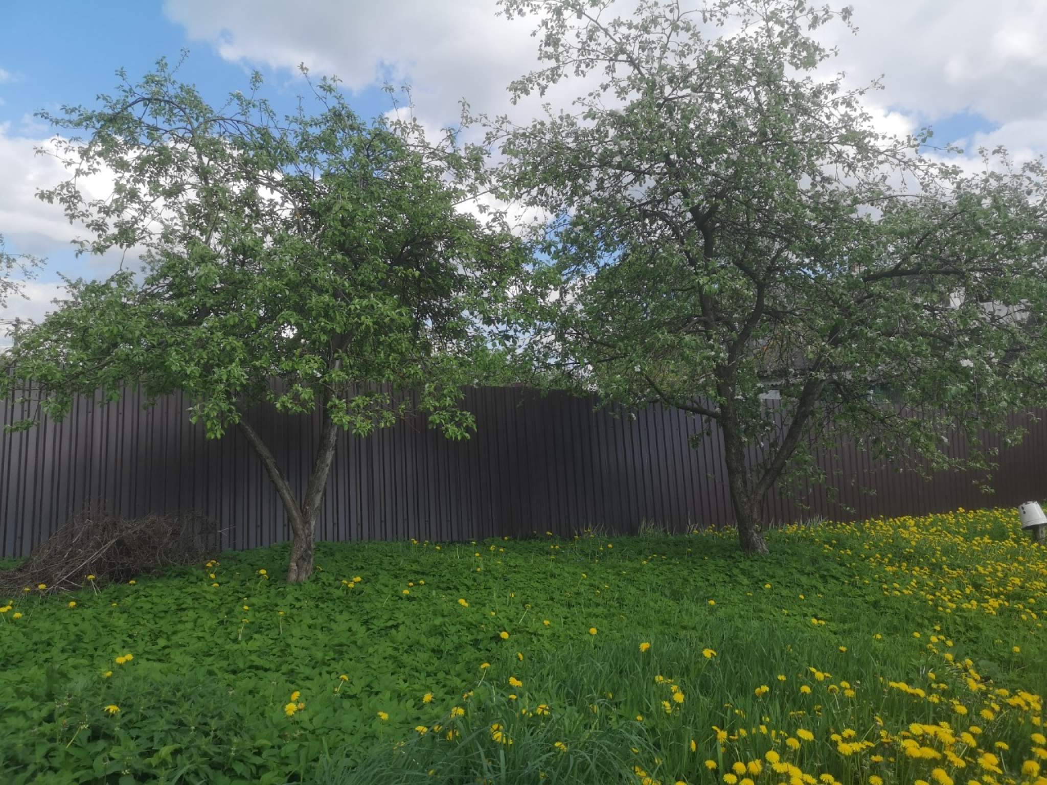 Продажа дома, 121м <sup>2</sup>, 12 сот., Мурино, Центральная улица,  д.13