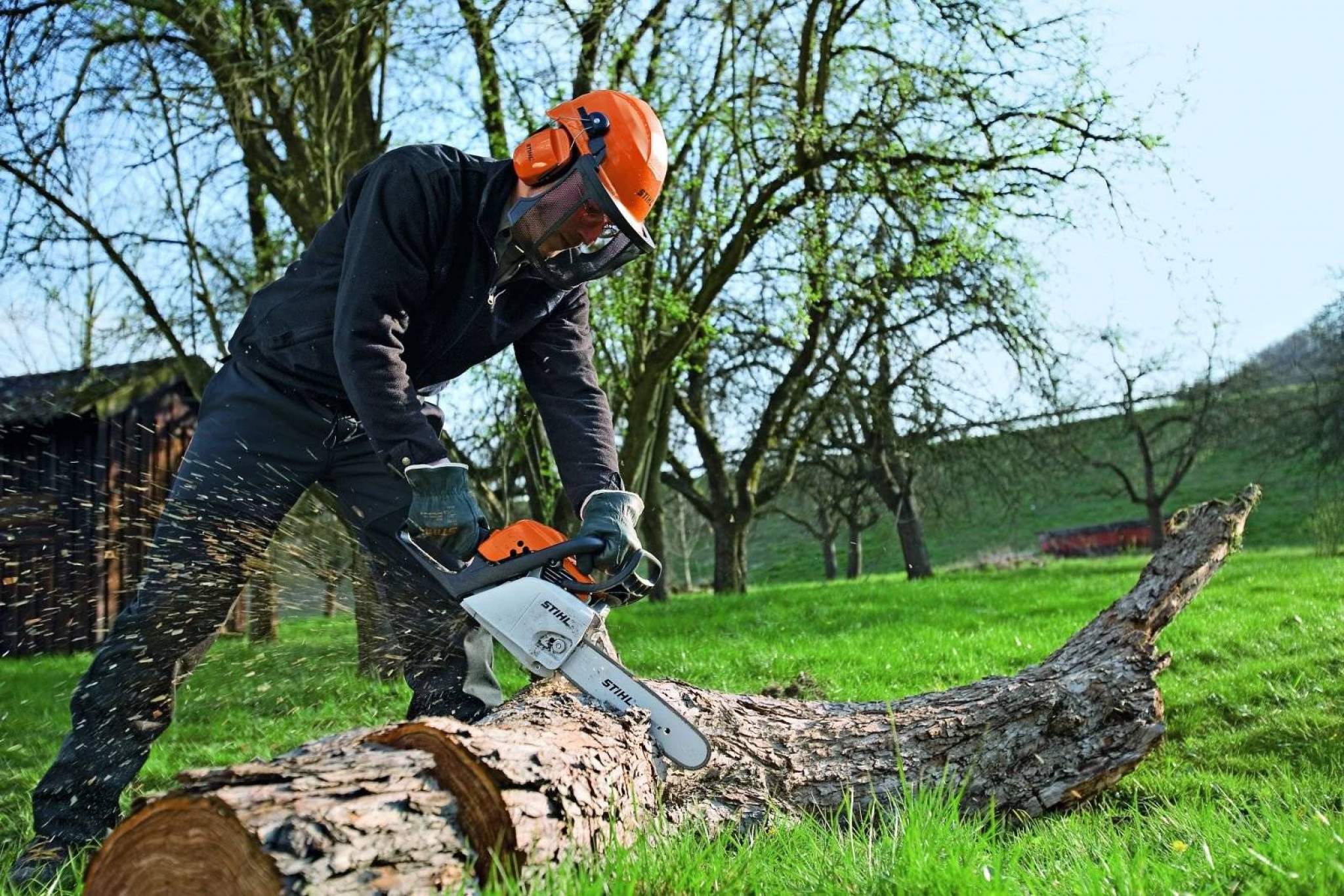 Где распиливают деревья. Stihl MS 211. Спил дерева. Пилит дерево. Спиливание деревьев.