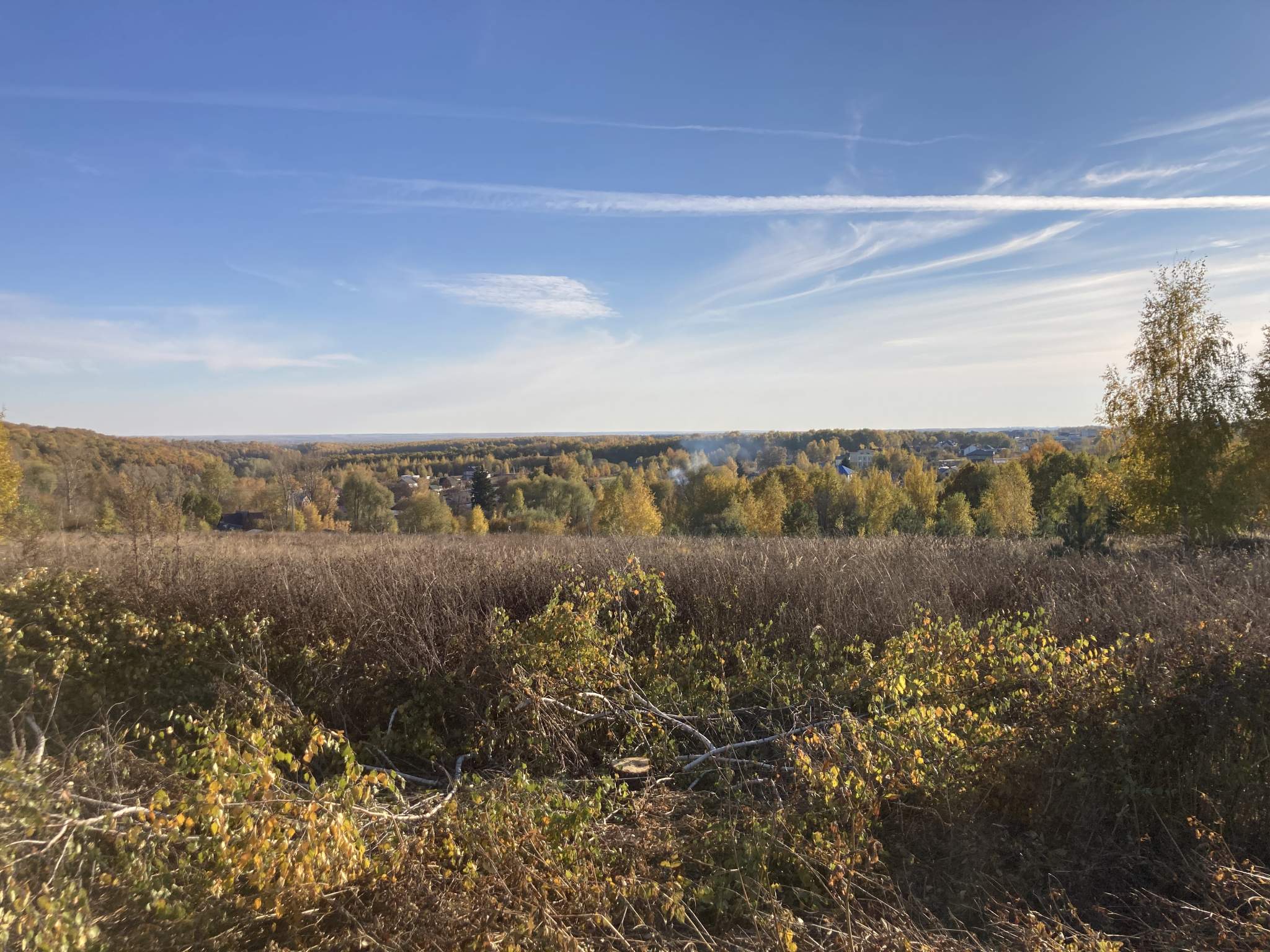 Участки в богородском районе. Шумилово Богородский район. Земельный участок. Деревня Перевесное Нижегородская. Российская земля.