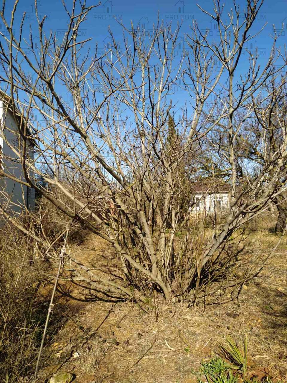 Продажа участка, Севастополь, СТ Наука-2 территория