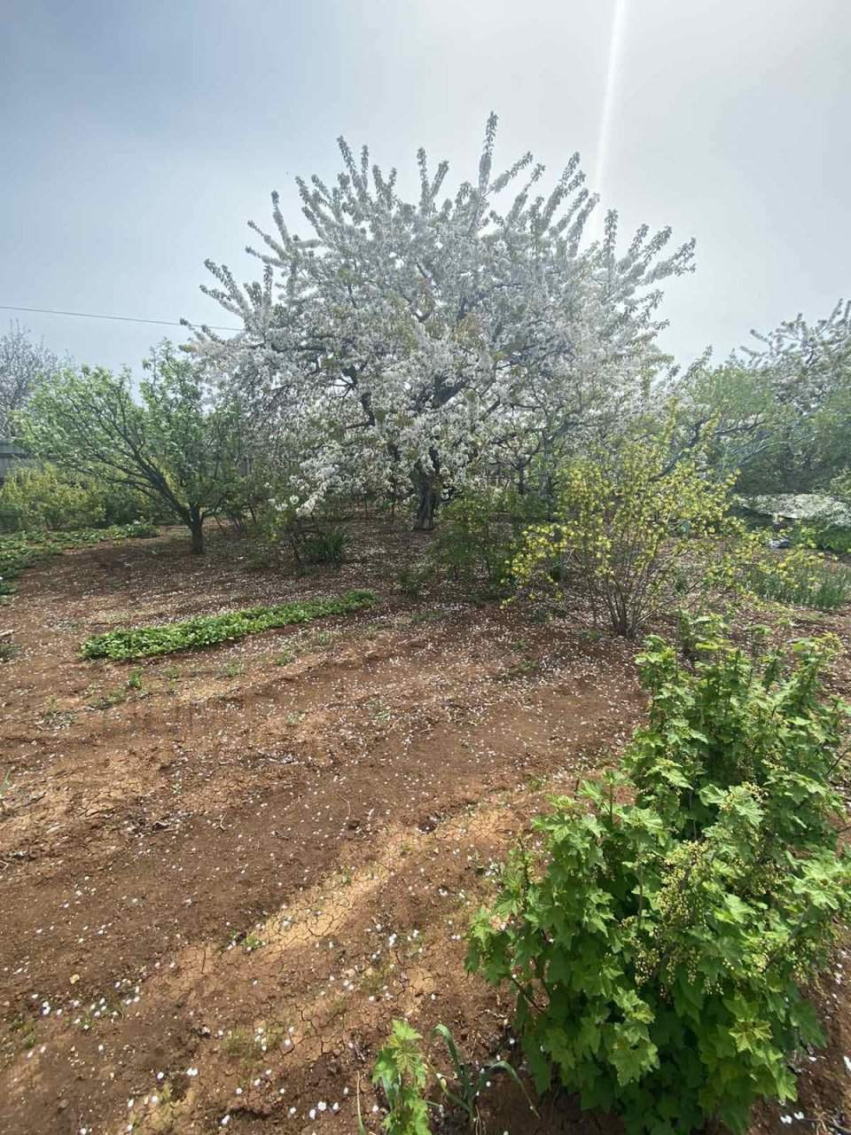 Продажа участка, Севастополь