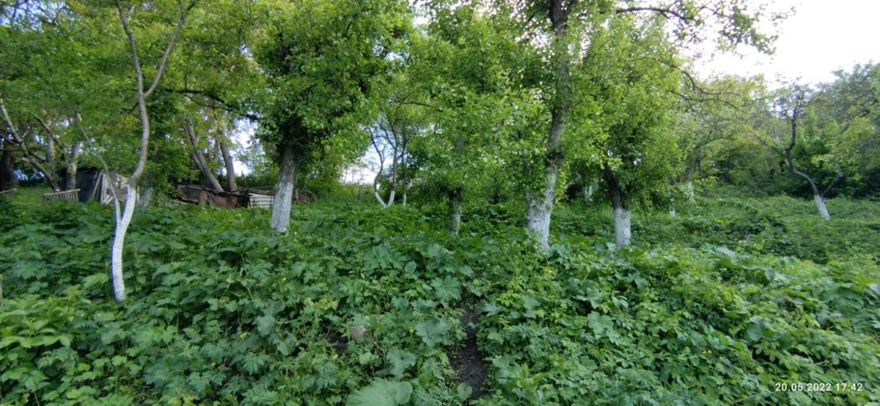 Продажа участка, Луначарский, 2-й Зеленогорский переулок