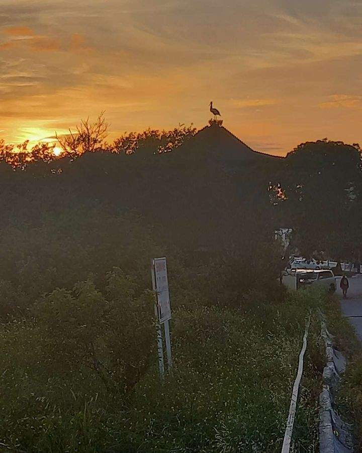 Продажа 1-комнатной квартиры, Геленджик, Крымская улица,  д.22к23