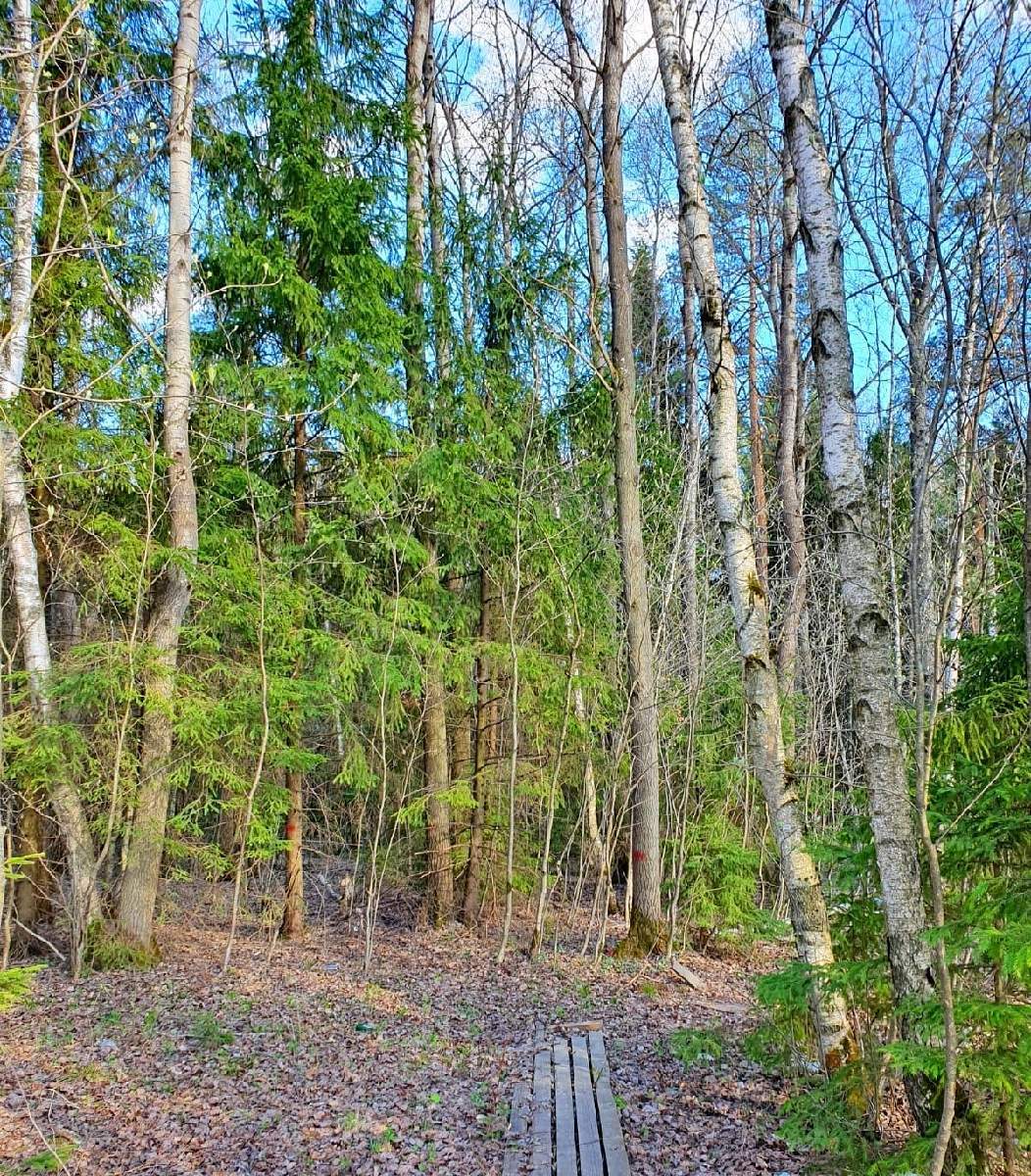 Продажа 1-комнатной квартиры, Сабурово, д.1