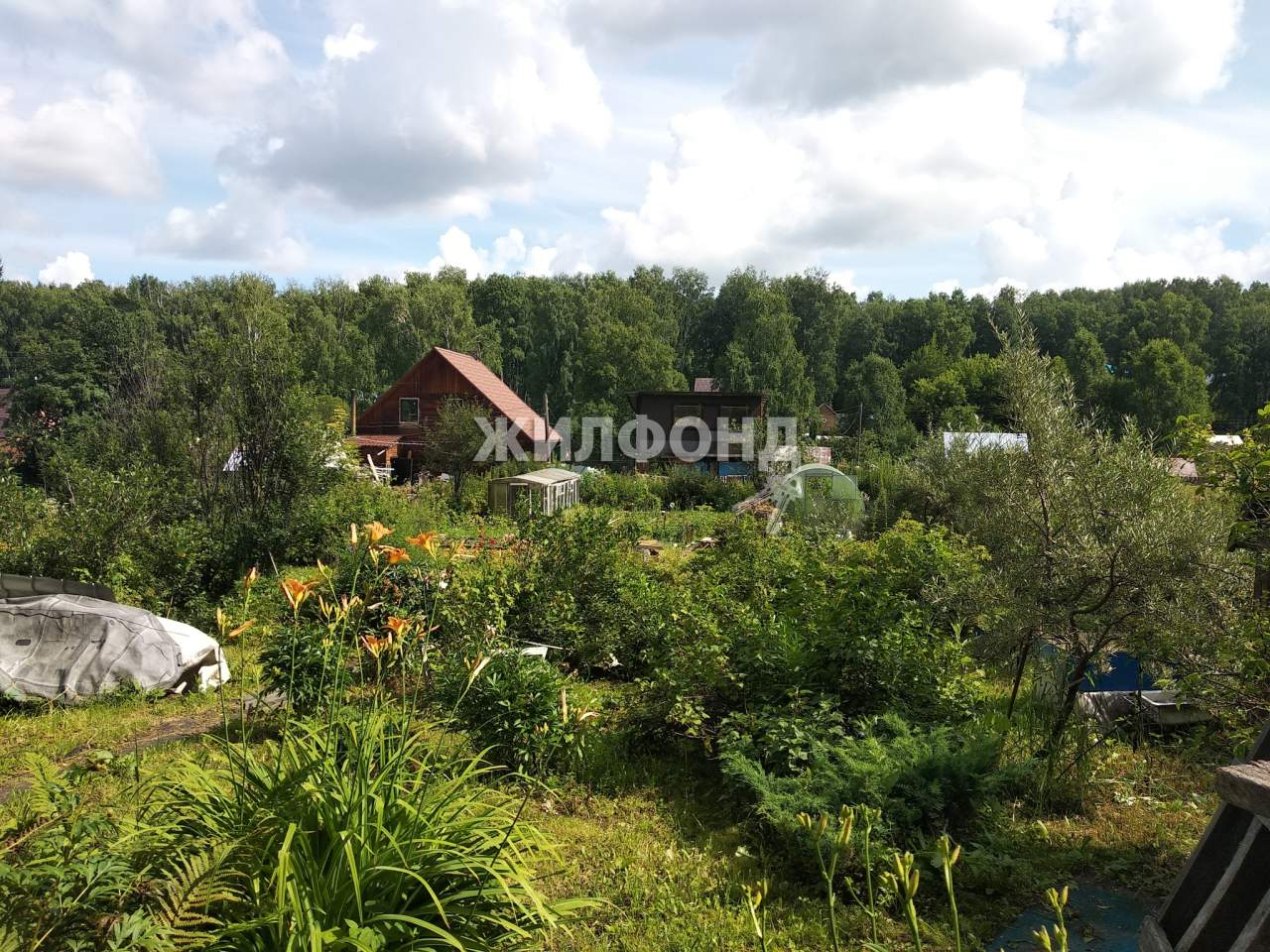 Продажа участка, Мошково, Радуга-2 садовое товарищество