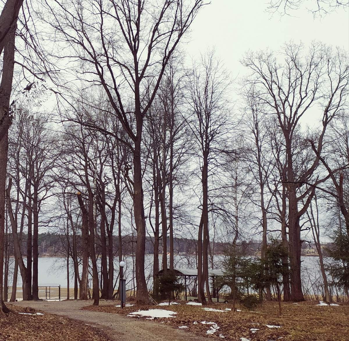 Продажа участка, Терпигорьево