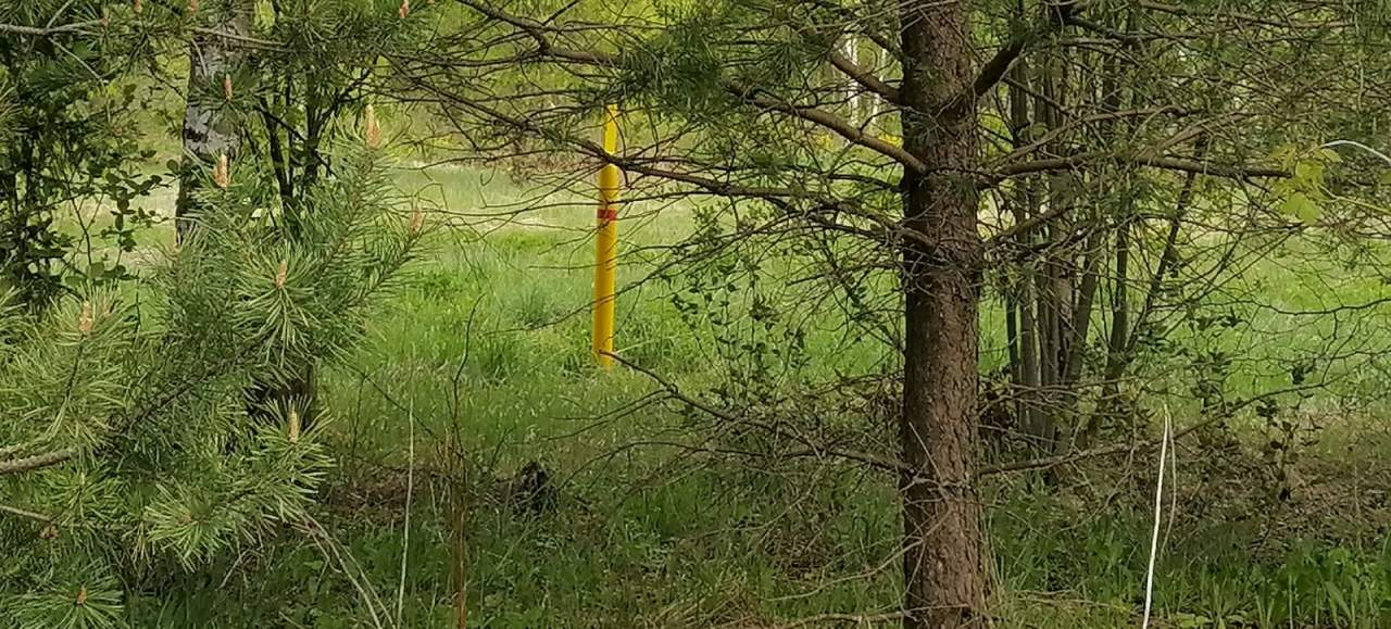 Продажа дома, 70м <sup>2</sup>, 19 сот., Вески, Новая улица