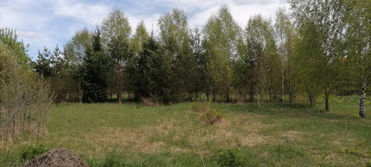 Продажа дома, 70м <sup>2</sup>, 19 сот., Вески, Новая улица