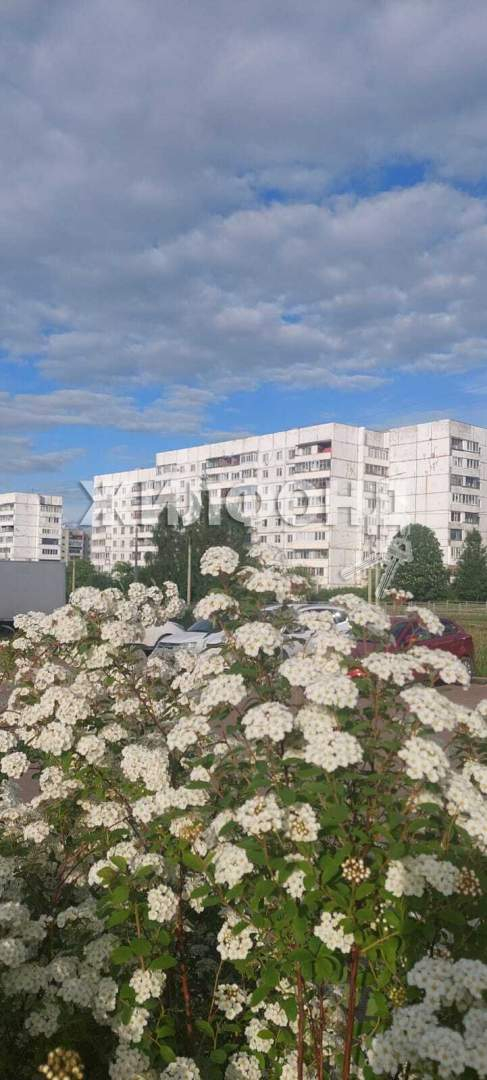 Продажа 3-комнатной квартиры, Орел, Раздольная улица,  д.70