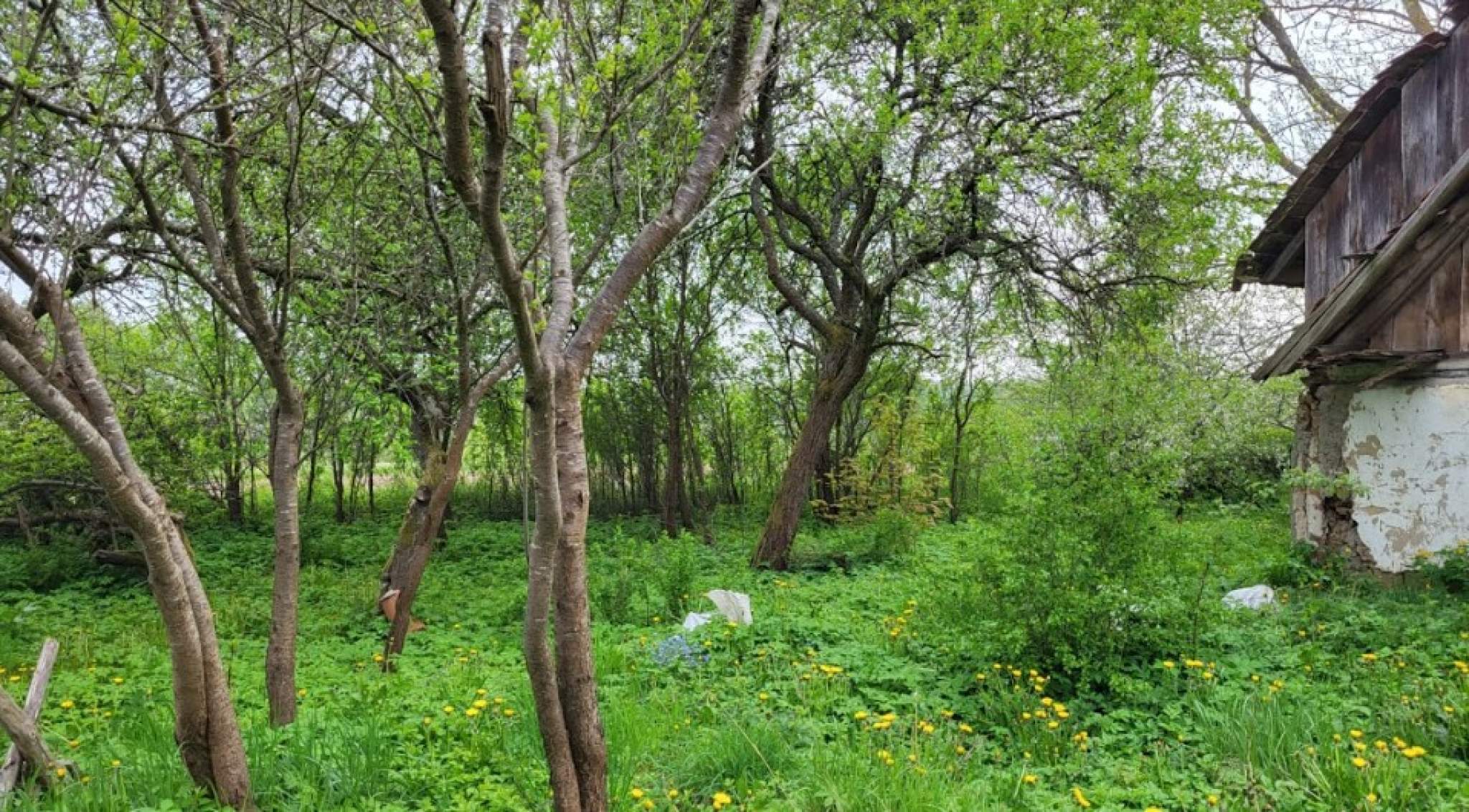 Продажа участка, Горбатовка, Хуторская улица