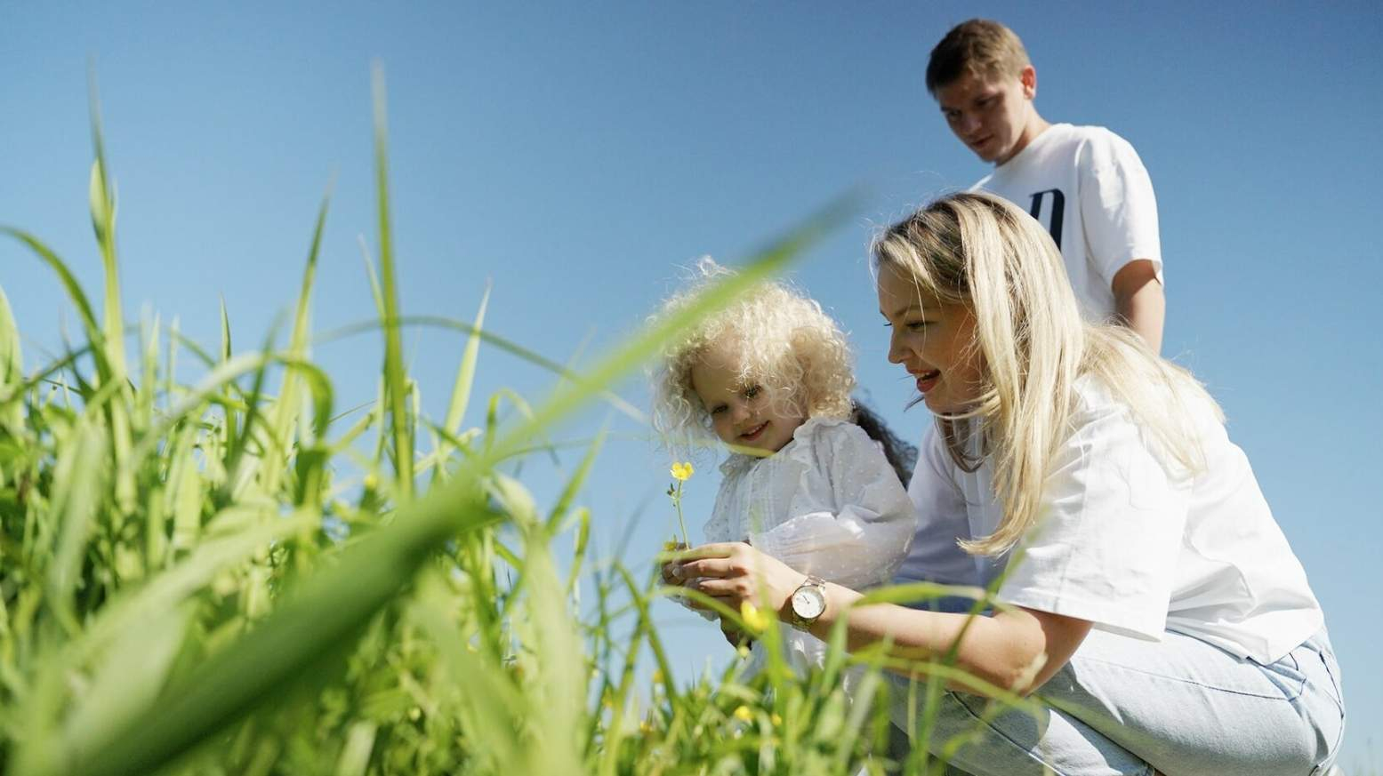 Продажа участка, Скурыгино