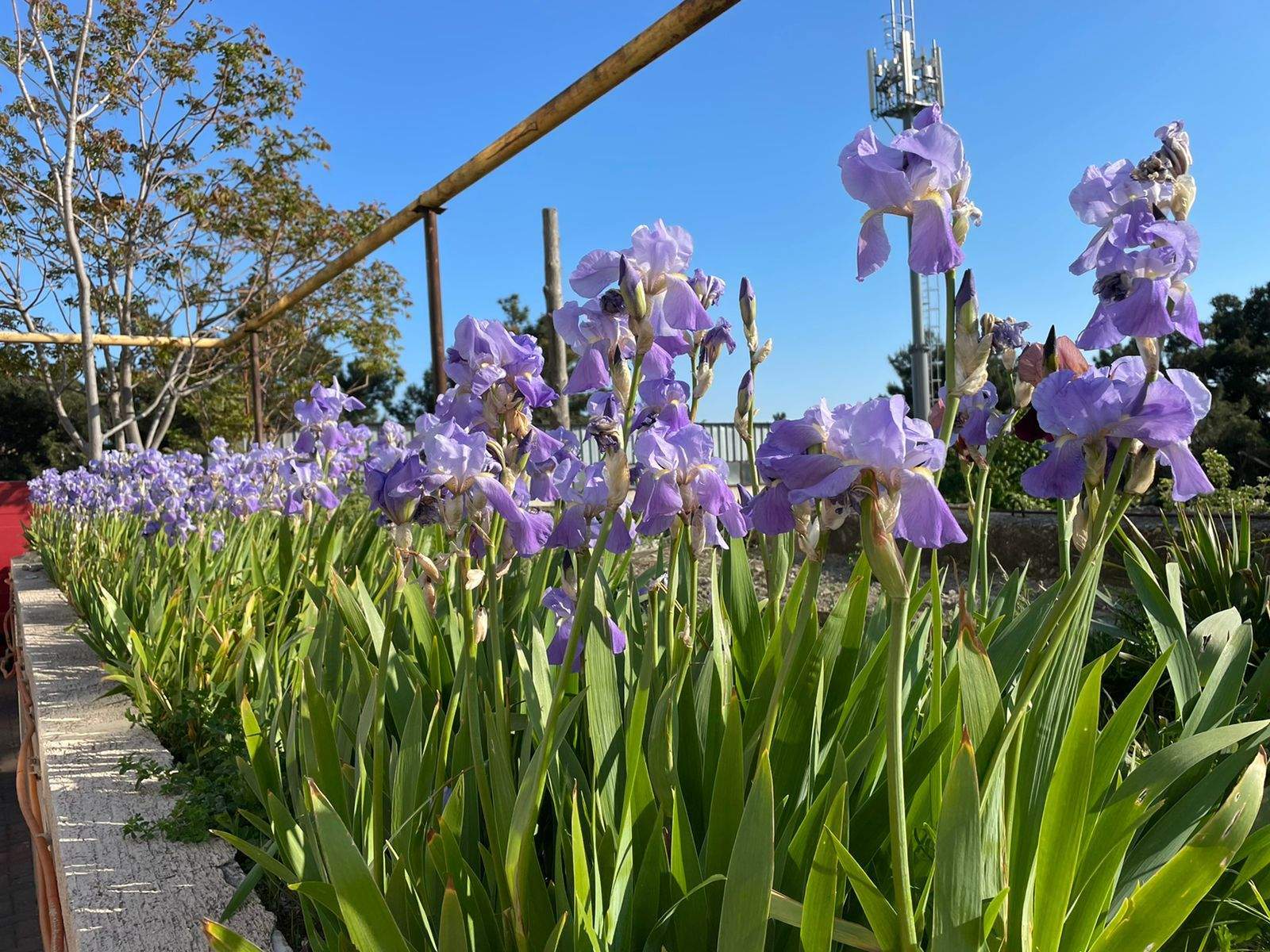 Продажа 1-комнатной квартиры, Геленджик, Курортная улица,  д.14А