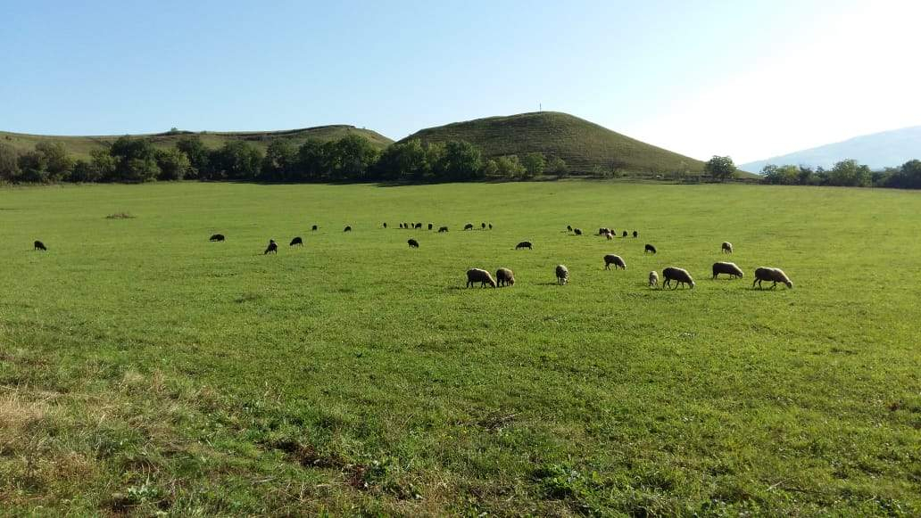 Продажа 2-комнатной квартиры, Зеленогорский, Центральная улица,  д.58