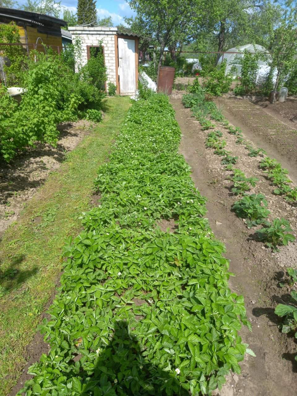 Продажа дома, 24м <sup>2</sup>, 6 сот., Александров