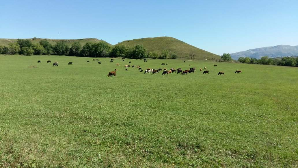 Продажа 2-комнатной квартиры, Зеленогорский, Центральная улица,  д.58