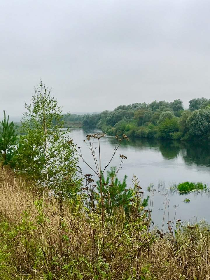 Продажа участка, Новоскаковское, Солнечная улица