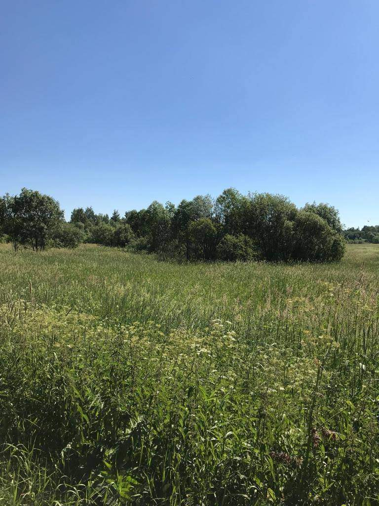 Продажа коммерческой недвижимости, Суховерхово