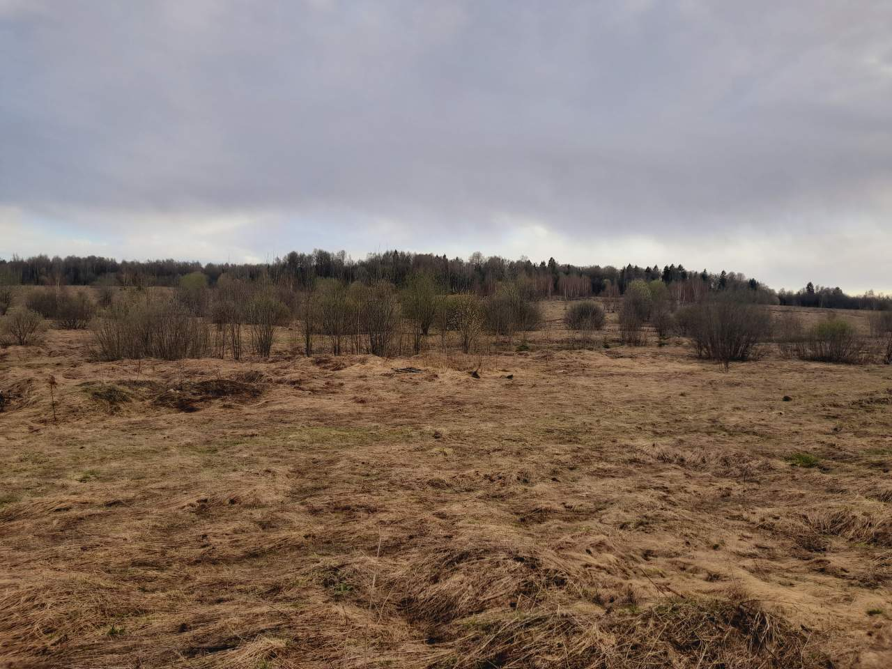 Продажа участка, Владимирская, Шаблыкино территория днт