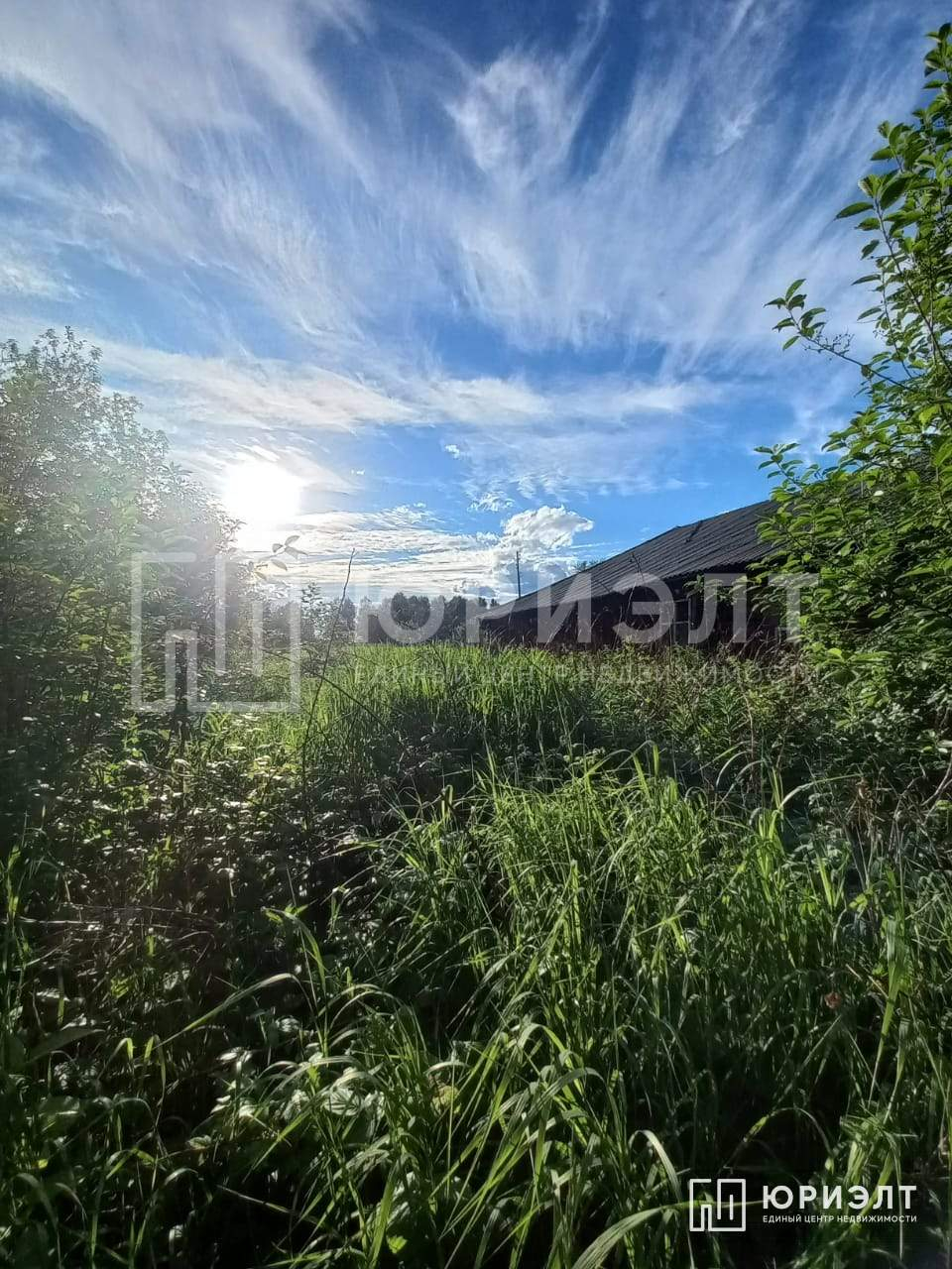 Продажа дома, 39м <sup>2</sup>, 22 сот., Краснополье, Мира улица,  д.2