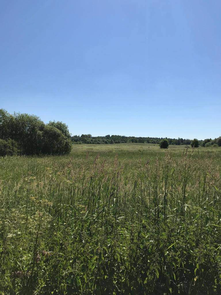 Продажа коммерческой недвижимости, Суховерхово