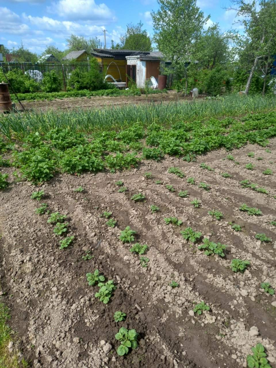 Продажа дома, 24м <sup>2</sup>, 6 сот., Александров