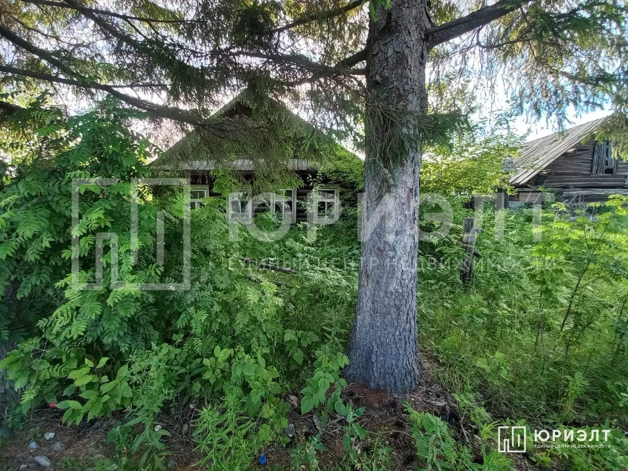 Продажа дома, 39м <sup>2</sup>, 22 сот., Краснополье, Мира улица,  д.2