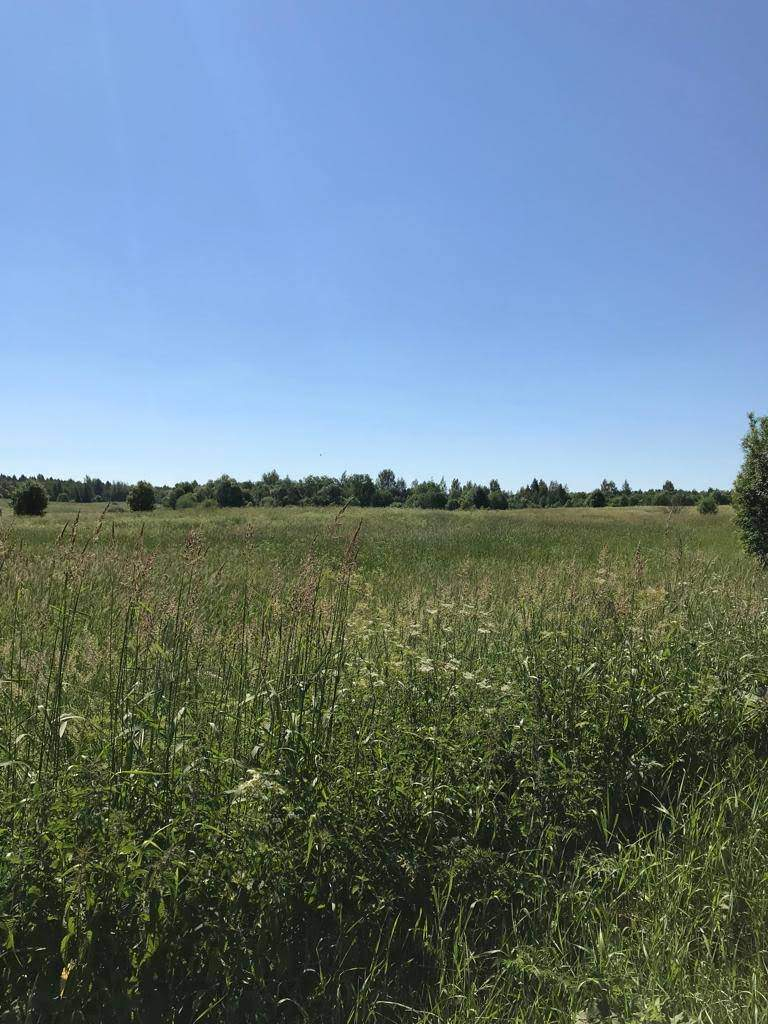 Продажа коммерческой недвижимости, Суховерхово