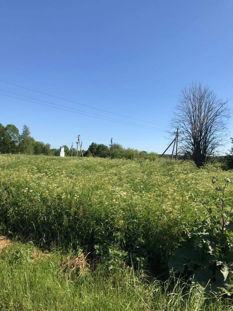 Продажа коммерческой недвижимости, Суховерхово