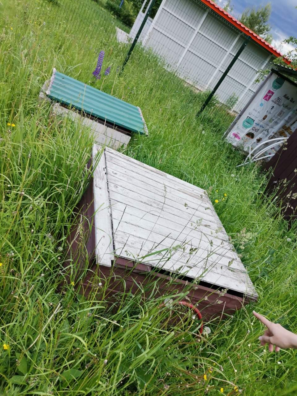 Продажа дома, 48м <sup>2</sup>, 8 сот., Бакино, Дачная улица