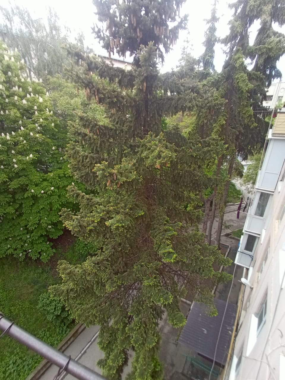 Продажа 3-комнатной квартиры, Кисловодск, Советская улица,  д.3