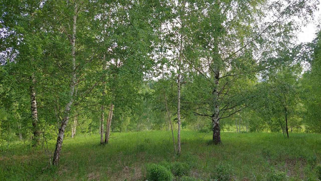 Продажа дома, 266м <sup>2</sup>, 4 сот., Кузнечиха, д.297В