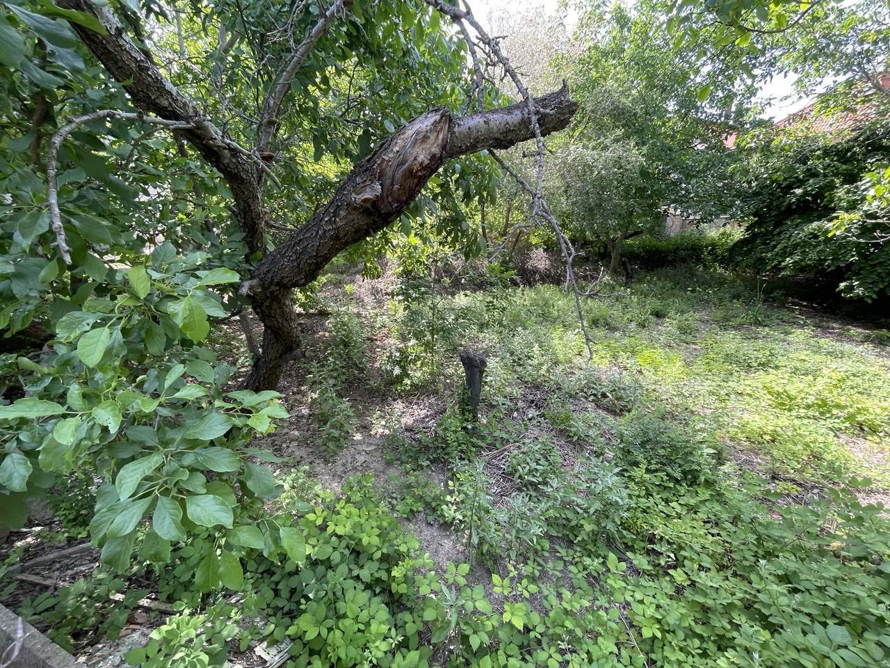 Продажа участка, Севастополь, Генерала Лебедя улица