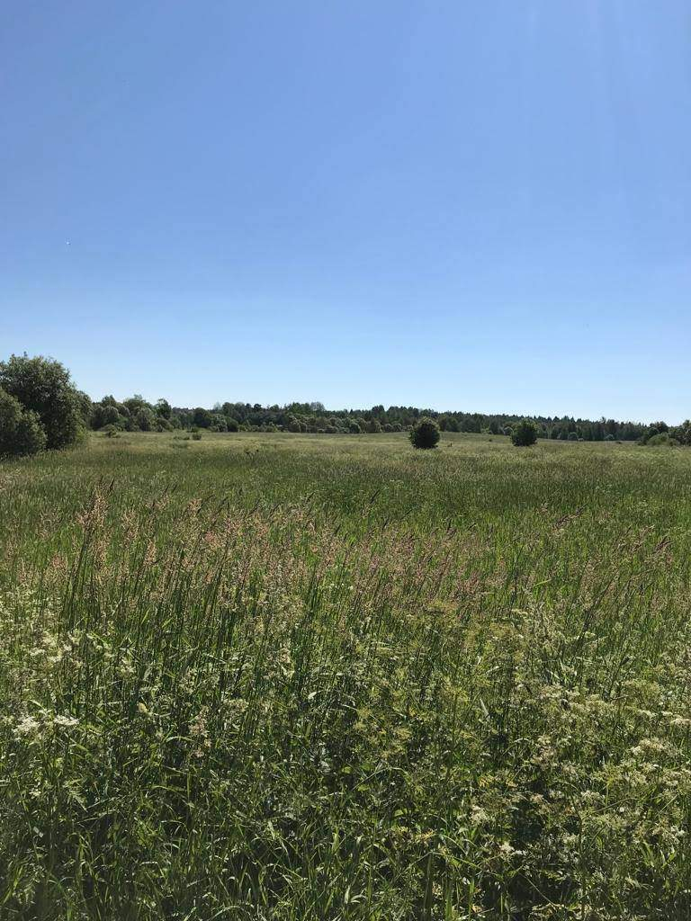 Продажа коммерческой недвижимости, Суховерхово