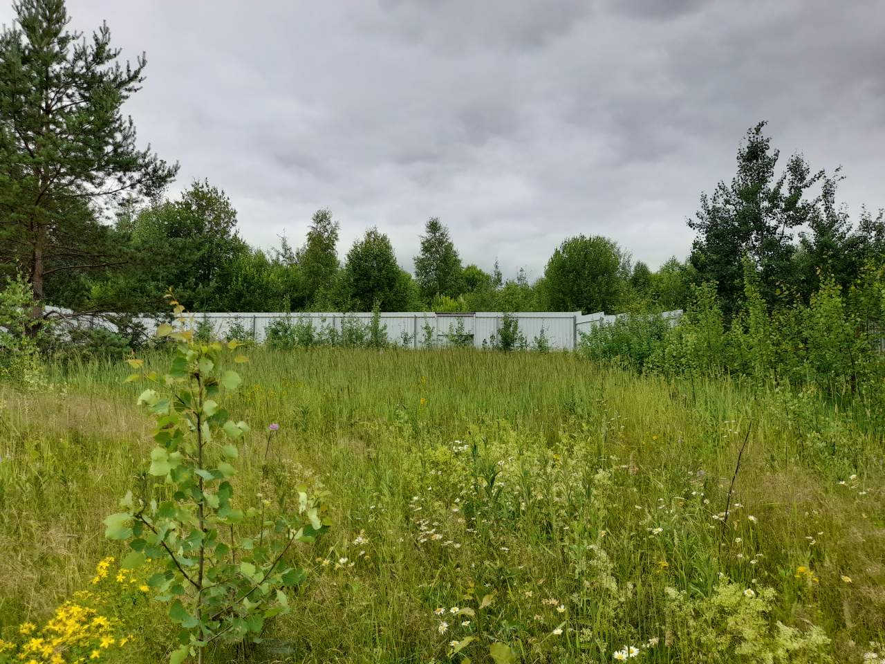 Продажа дома, 36м <sup>2</sup>, 16 сот., Володино, Полярная улица