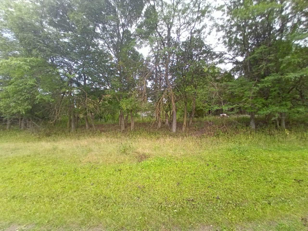 Продажа участка, Аликоновка, Прямая улица