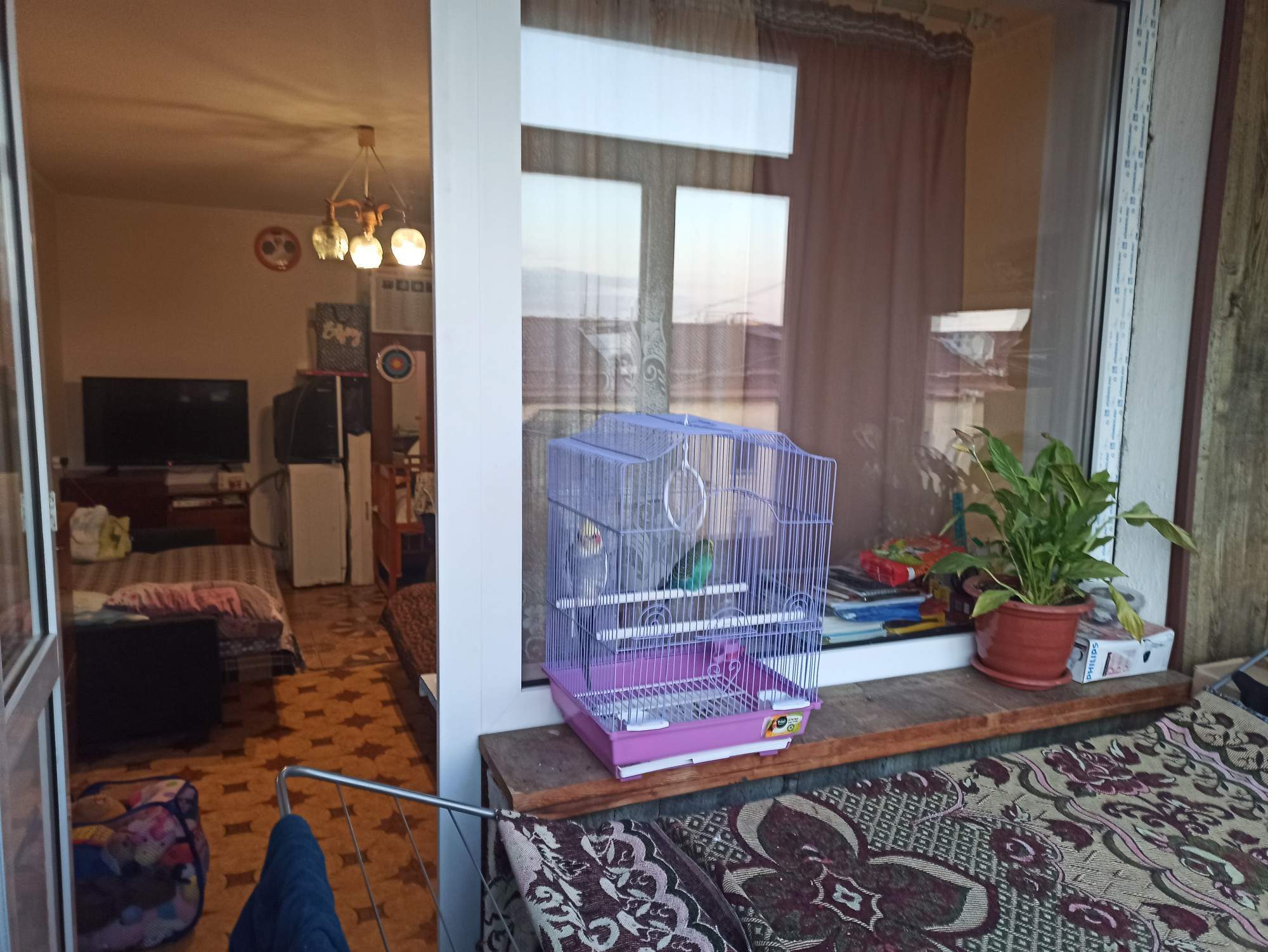 Продажа 1-комнатной квартиры, Севастополь, Репина улица,  д.10