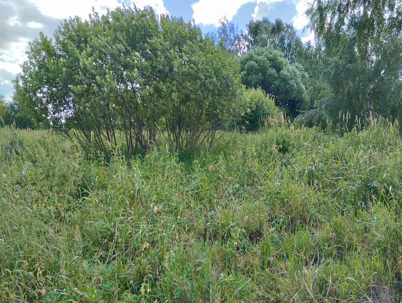 Продажа участка, Большое Маринкино