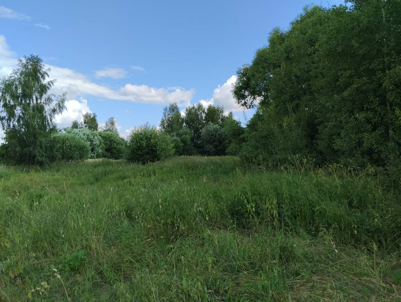 Продажа участка, Большое Маринкино