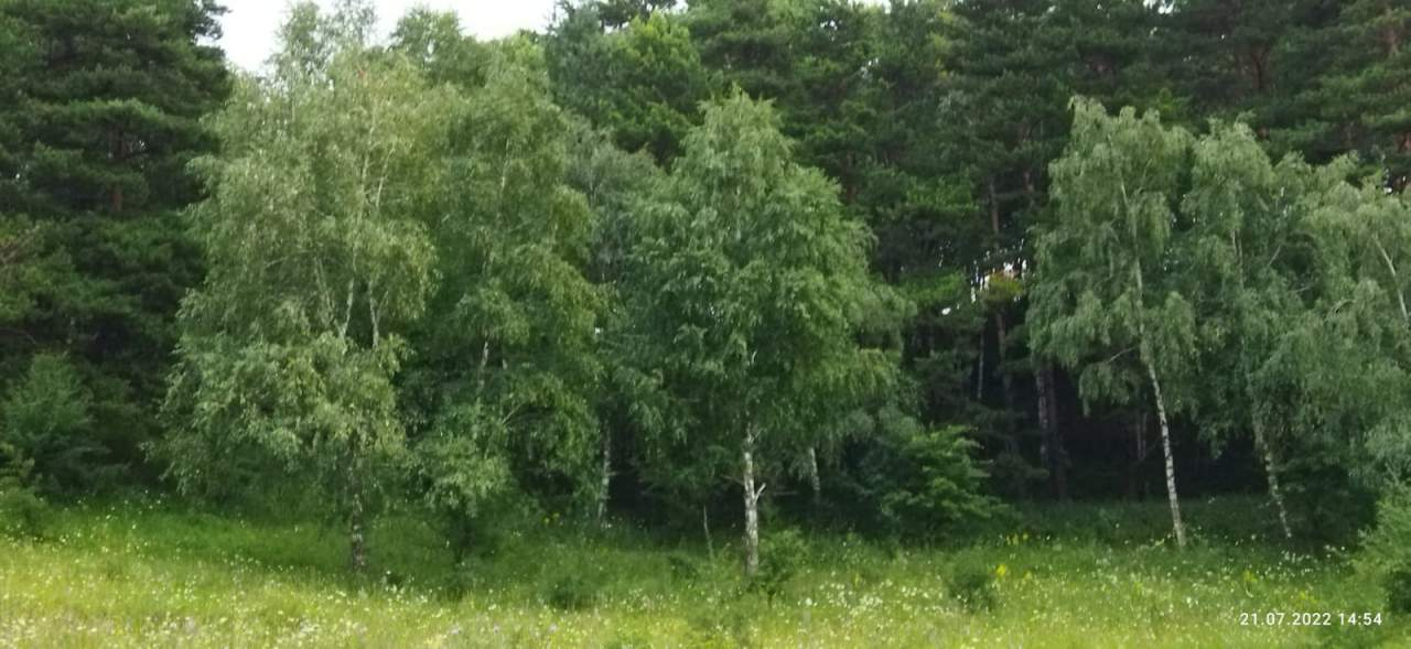 Продажа коммерческой недвижимости, Высокогорный, Сиреневая улица