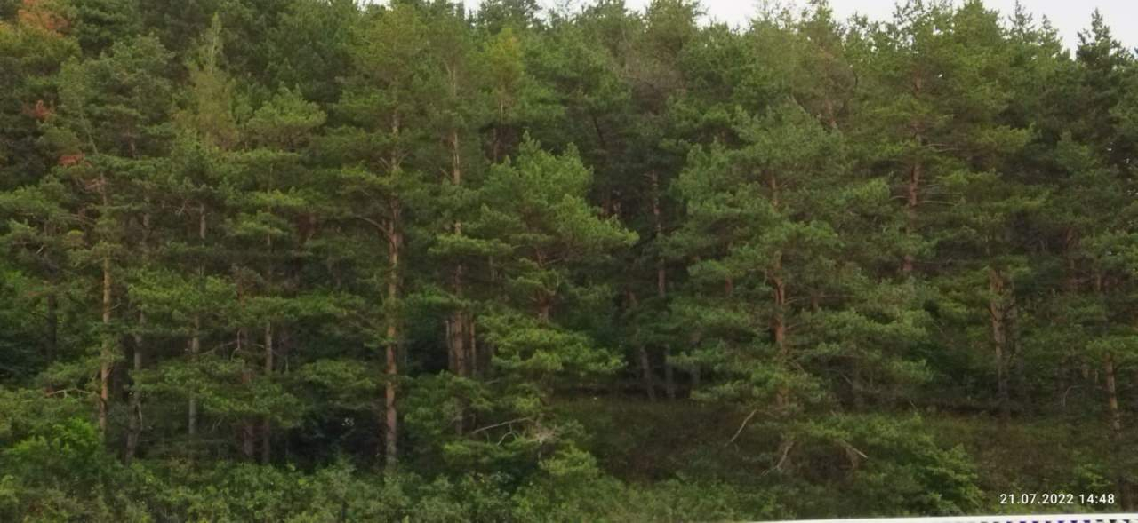 Продажа коммерческой недвижимости, Высокогорный, Сиреневая улица