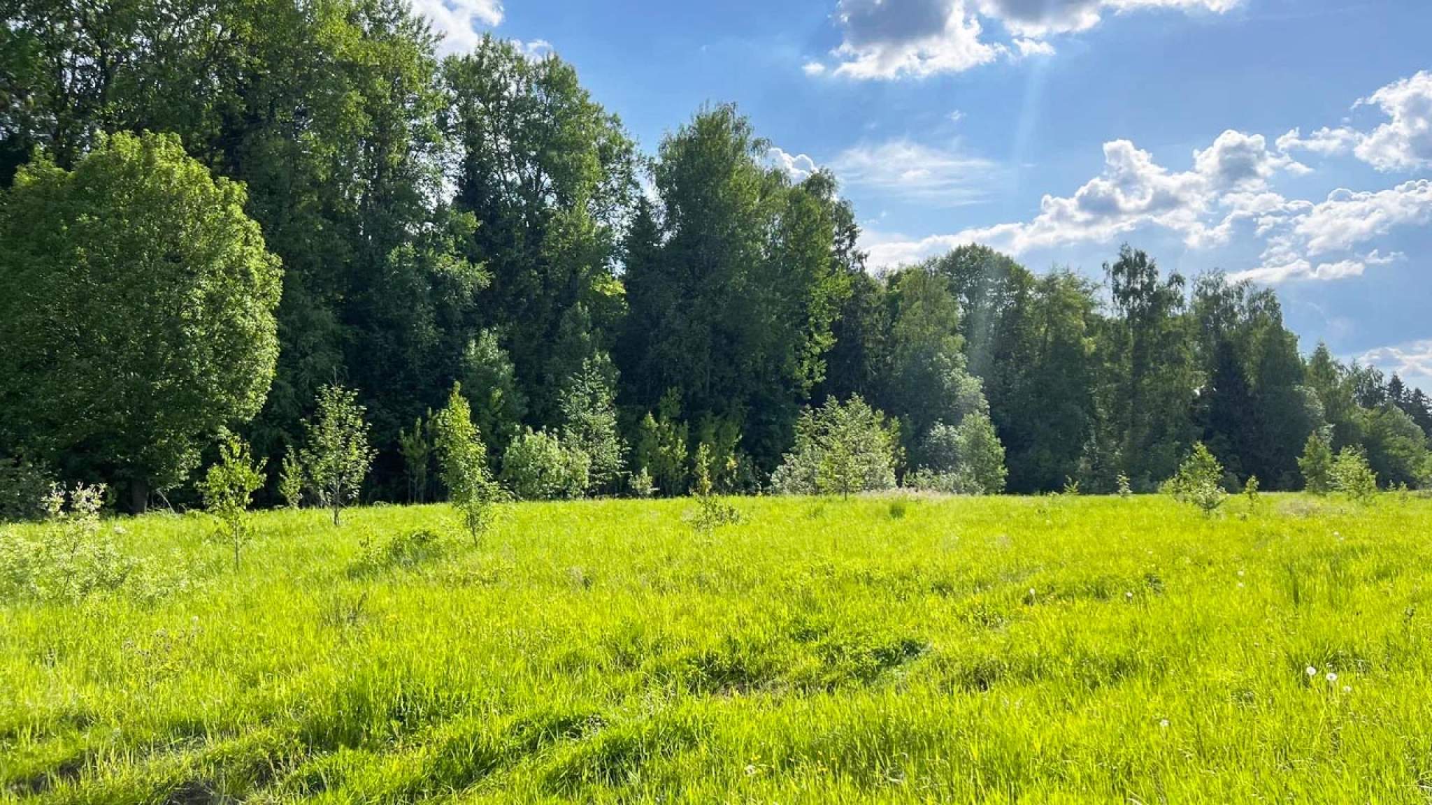 Продажа коммерческой недвижимости, Московская