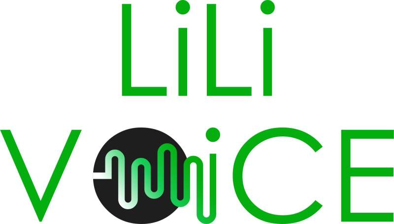 Lili voice. Lili Voice школа вокала. Lili Voice школа. Lili компания.